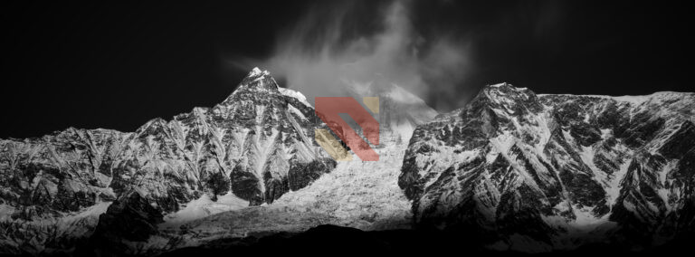 The Mustang Limited Edition Print Series